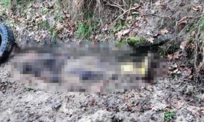 Korkunç itiraf!. Tecavüz etmek isteyince öldürüp araziye gömdü!.
