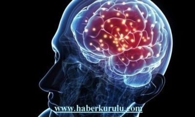 Beyni öldüren zehirli besinler hangileri?.