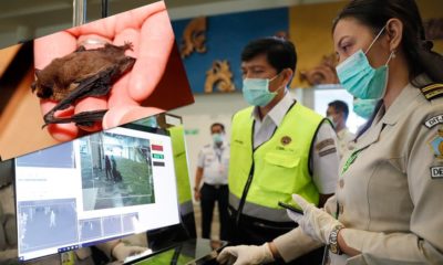 Tespit edildi! Corona virüsünün kaynağı, Çin’in Wuhan kentinde bulunan deniz ürünleri pazarı…