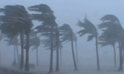 Meteoroloji uyardı!. Fırtınaya dikkat!.