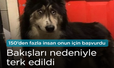 Onu bakışları için terk ettiler!.
