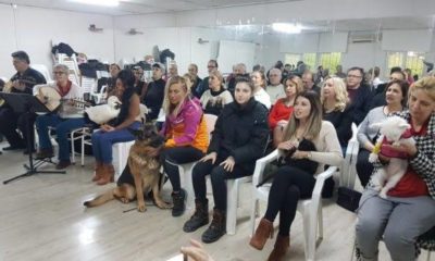 Bursa’da sokak hayvanları için düzenlenen konserde 2 ton mama toplandı!.