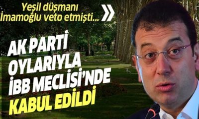 İmamoğlu’nun veto ettiği yeşil alan kararı AK Parti oylarıyla İBB Meclisi’nde kabul edildi!.