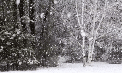 Meteoroloji’den son dakika kar ve yağış uyarısı! İşte o iller…