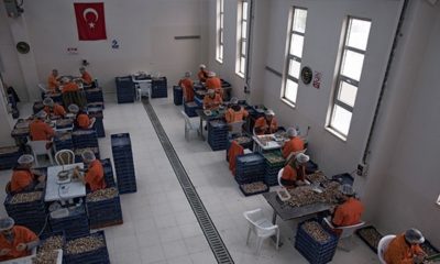 Cezaevinde atölye kurdular! Türk mahkumlardan Avrupa’ya 20 milyonluk ihracat…