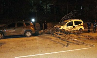 Ankara’da şiddetli fırtına ağaçları devirip, çatıları uçurdu!.