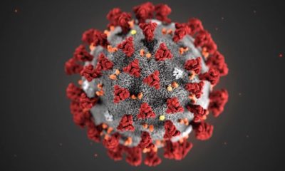 Coronavirüsü Avrupa’ya taşıyan kişinin kimliği açıklandı!.