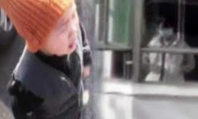 Hıçkırıklara boğuldu!. Çin’de yürek burkan görüntü!. (Tıkla İzle)