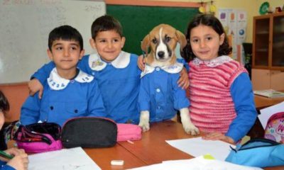 ‘Fındık’tan üzen haber!.