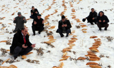 Erzurum’da doğaya 2001 ekmek bırakıp dua ettiler!. Nedeni ise…