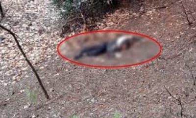 Kumalığı kabul etmeyen karısını önce uçurumdan attı, sonra başını taşla ezerek öldürdü!. (Tıkla İzle!)