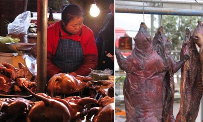 Çin’deki Koronavirüs’ün neden kaynaklandığı belli oldu!.