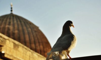 Bir Ayet, Bir Hadis…