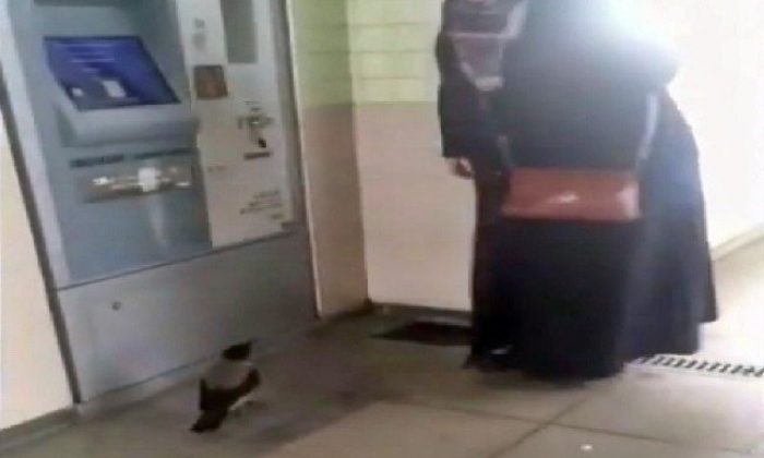 Akbil parasını kargaya kaptırdı!. (Tıkla İzle)