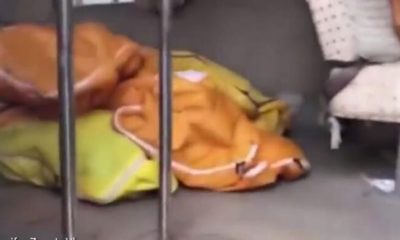 Vuhan’da coronavirüsten ölenlerin cesetlerini görüntüleyip paylaşan kişi tutuklandı!.