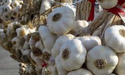 Koronavirüse karşı etkili olan sarımsağın kilosu iki katlandı!.