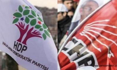 HDP savcılığa başvurarak oylarını CHP’den geri istedi!.