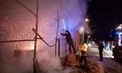 Bilecik’te ahır yangını! 10 hayvan telef oldu!.