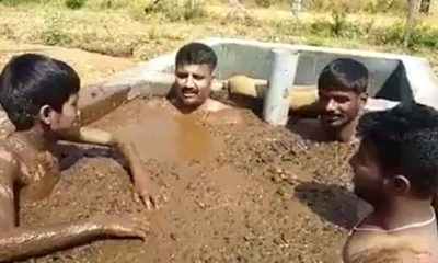 Sapkınlığın geldiği son nokta! Hindistan’da coronavirüsten korunmak için inek dışkısıyla duş alıyorlar!.