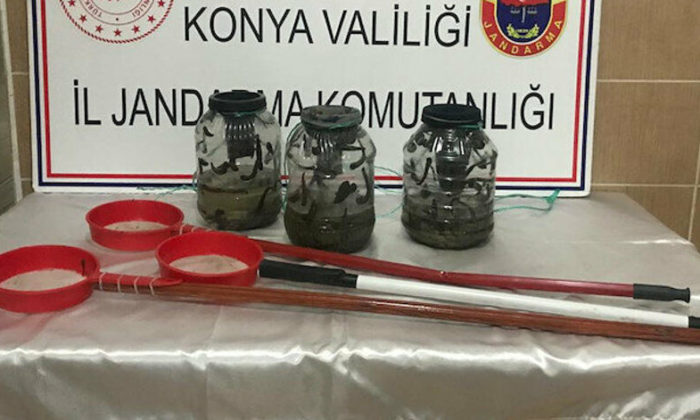 Yasa dışı avladıkları 3 bidon sülük için 221 bin lira para cezası yediler!.