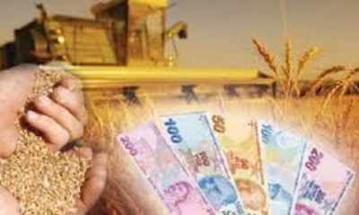 Tarım Destek paraları bugün çiftçilerin hesaplarına yatıyor..