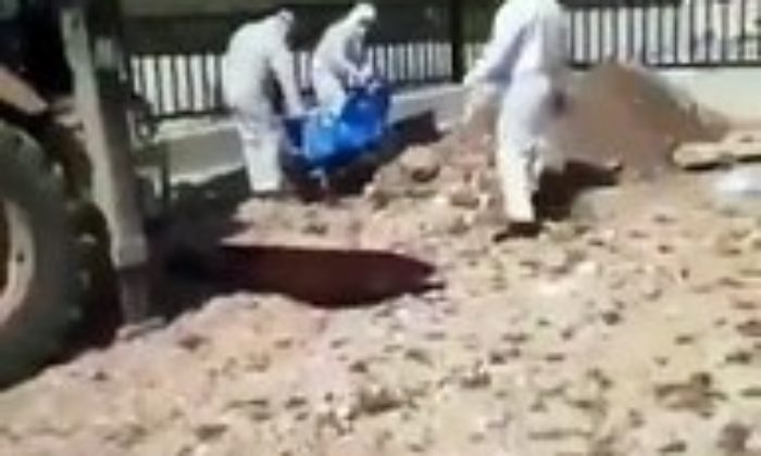 Covid-19’dan ölenler özel kıyafetli kişiler tarafından defnediliyor!. (video haber)