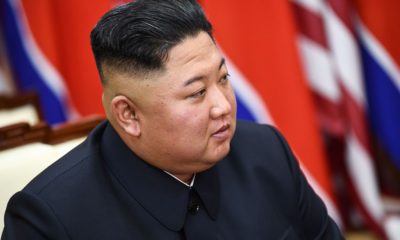 Japonya Kim Jong-un bitkisel hayatta olduğunu söyledi!.