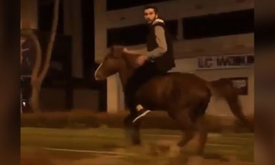 İzmir’de tramvay yolunda ata bindi!. “At beni kaçırdı” (video haber)