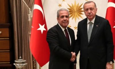 AK Parti’li Şamil Tayyar’dan olay Erdoğan göndermesi!. “Onları da paylaşsanıza…”