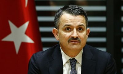 Bakan Pakdemirli duyurdu!. “koronavirüs taraması yapılacak!.”