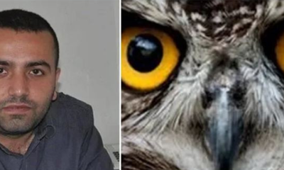 Polisi karşısında gören ‘Ankara Kuşu’ ağlayarak bildiği her şeyi öttü!.