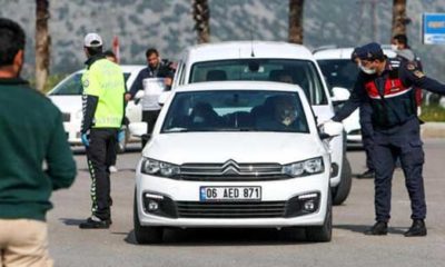 Vali isyan etti! “İstanbul’dan Antalya’ya mantar toplamak için gelmişler!.”