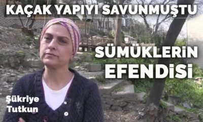 Cumhuriyet paçavrası Fahrettin Altun yalanını ortaya çıkaran Şükriye Tutkun’a şerefsizce hakaretler yağdırdı!.