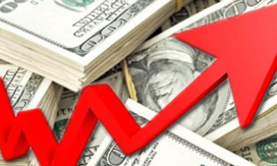 Merkez Bankası’nın faiz kararından sonra dolarda son durum?.