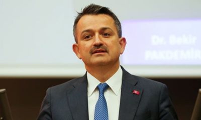 Bakanlık en çok tüketilen ürünün ihracatını durdurma kararı aldı!.