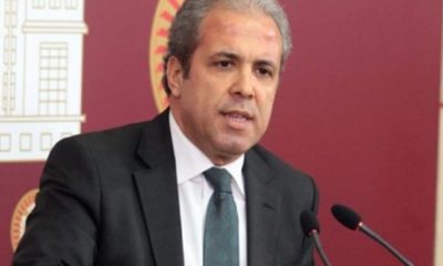 Şamil Tayyar’dan dikkat çeken ‘Ankara Kuşu’ açıklaması!.