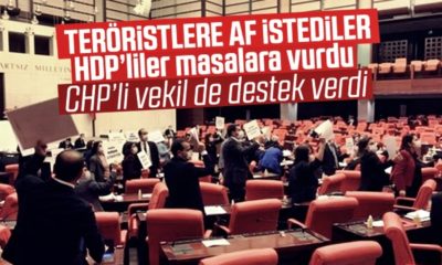 Meclis’te kardeş dayanışması! HDP teröristlere af istedi, CHP destek verdi!.