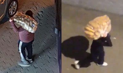 Sokağa çıkma yasağının ardından “yok artık” dedirten manzaralar…