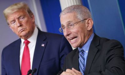 Beyaz Saray’da panik! Coronavirüsle mücadelenin başındaki 2 isim kendini karantinaya aldı!.