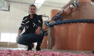 Berdan Mardini, memleketi Mardin’e gül suyu fabrikası kurdu!.