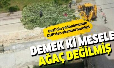 Mesele gerçekten ağaç meselesi değilmiş! CHP’li belediye Gezi’nin yıl dönümünde ağaç kesti!.