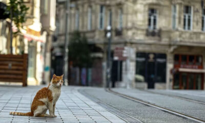 Sokağa çıkma kısıtlaması bu hafta sonu 15 ilde uygulanacak!. İşte açık olacak iş yerleri ve saatleri…