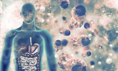 230 çocuğun ölümüne neden olan koronavirüs bağlantılı yeni hastalık ortalığı karıştırdı!.