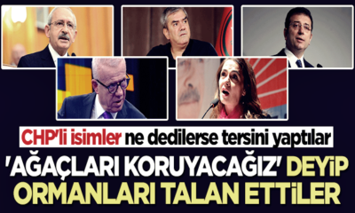 CHP’li Başkanların dalkavuklarının ikiyüzlülüğü!. Ağaç edebiyatı yapıp alçakça ormanları talan ettiler!.