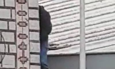 Cemevini kendilerine siper eden DHKP-C’li teröristler polisleri taş yağmuruna tuttu!. (video haber)