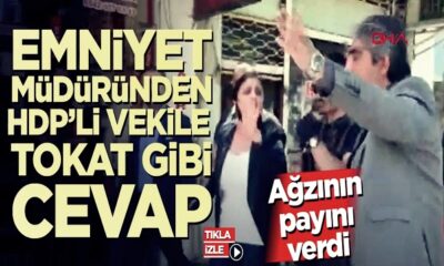 Emniyet Müdüründen HDP’li vekile tokat gibi cevap… (video haber)