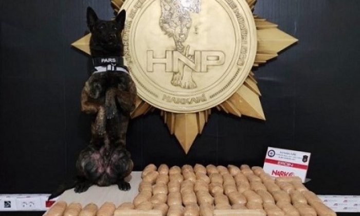 Narkotik köpeği Pars, 62 kilo eroin yakalattı!.
