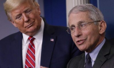 Dr. Fauci’den kritik açıklama! “ABD’de ölü sayısı açıklanandan daha fazla…”