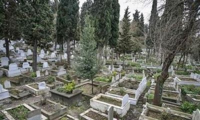 İstanbul Büyükşehir Belediyesi ölüleri bile sayamıyor!.