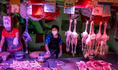 Çin akıllanmadı! Vahşi hayvan satışları devam ediyor!.